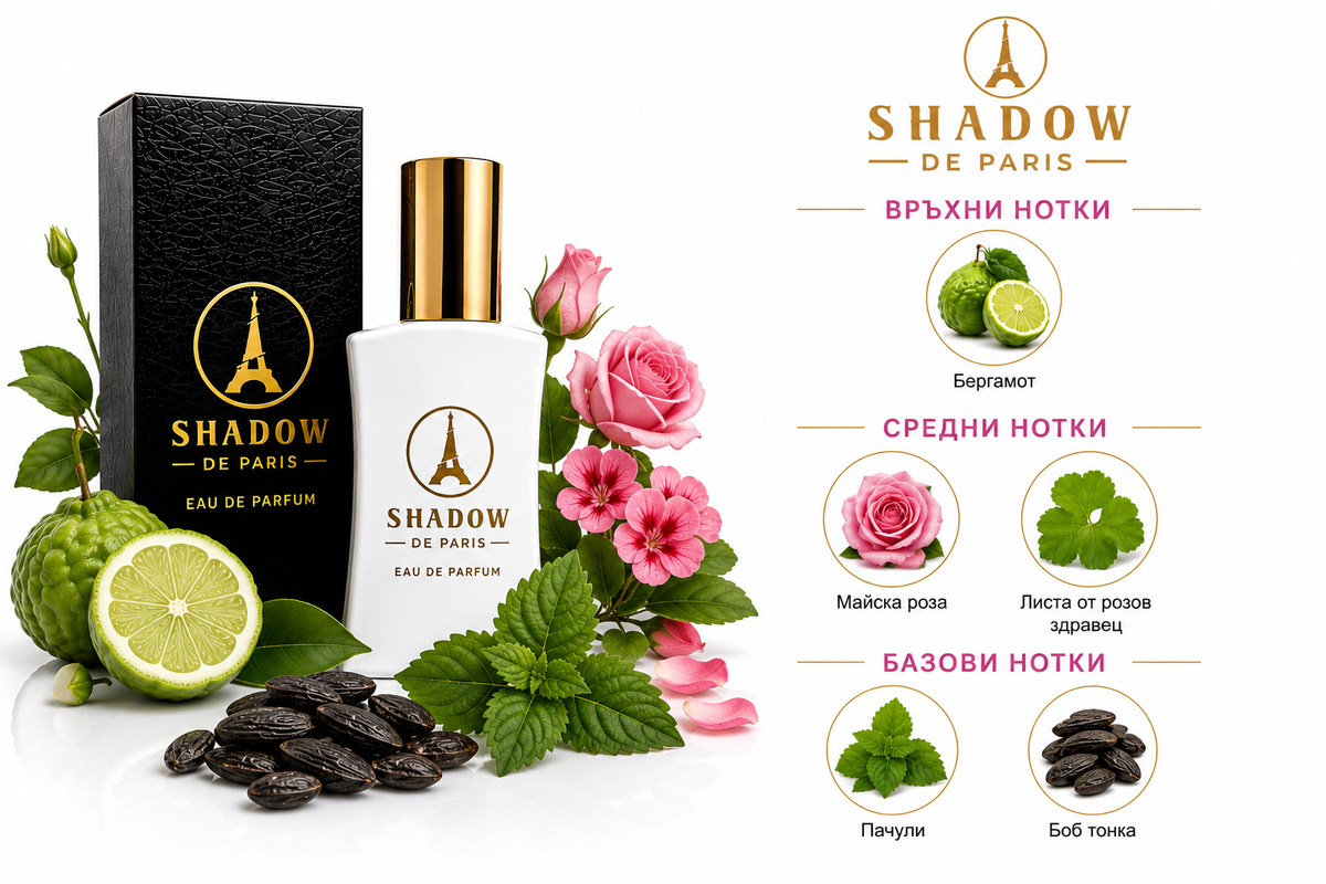 Shadow de Paris F27