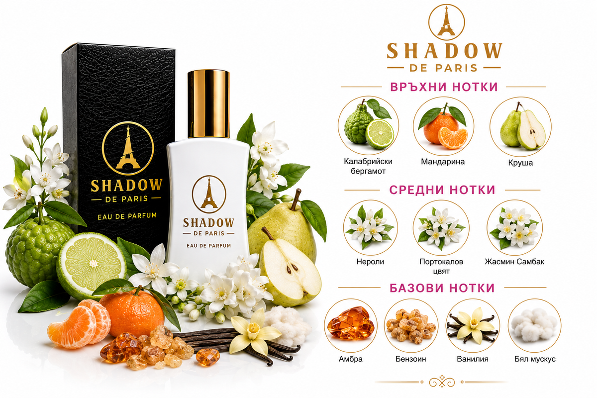 Shadow de Paris F31